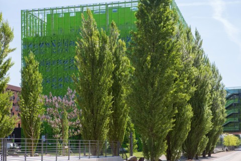Lyon, Immeuble "Le Cube Vert" dans le quartier Confluence