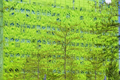 Lyon, Immeuble "Le Cube Vert" dans le quartier Confluence