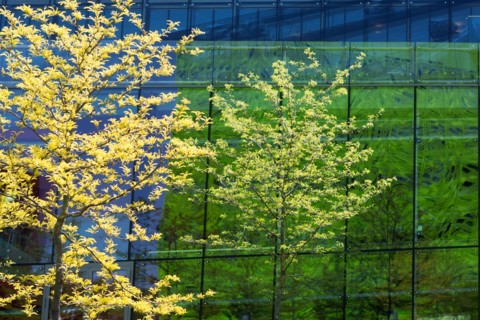Lyon, Quartier Confluence
