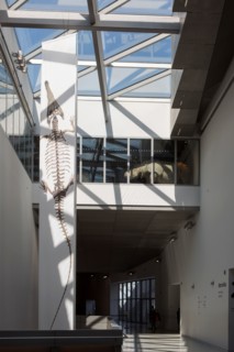 Lyon, musée des Confluences