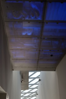 Lyon, musée des Confluences