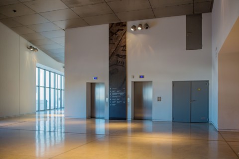 Lyon, musée des Confluences