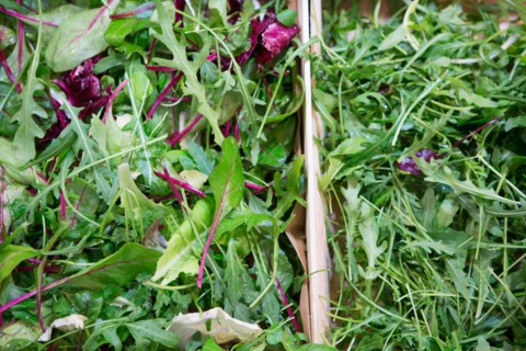 Salade roquette