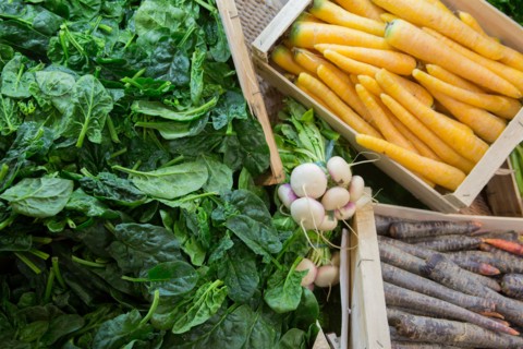 Pousses d'épinard et carottes colorées