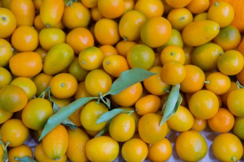 Kumquats