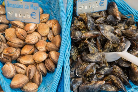 Amandes de mer et moules
