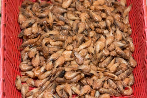 Crevettes grises