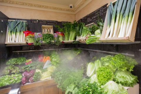 Légumes sous brumisateur