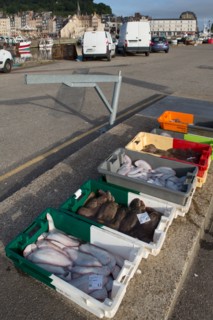 Honfleur, Bassin de l'Est, retour de pêche