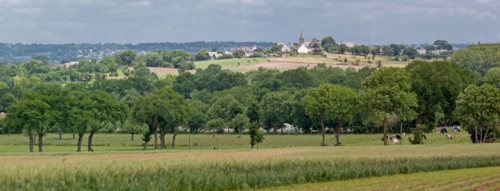 Panorama sur le village d'Ardevon et les champs