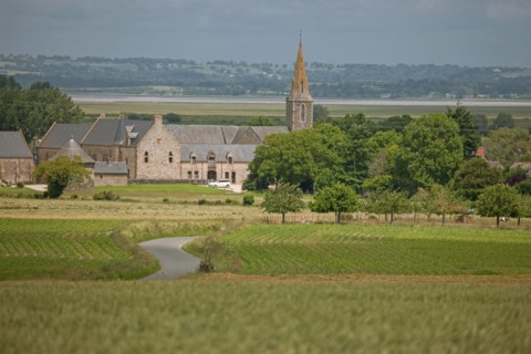 Baie du Mont-Saint-Michel, village d'Ardevon