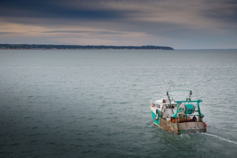 Port of Granville, departure of a trawler