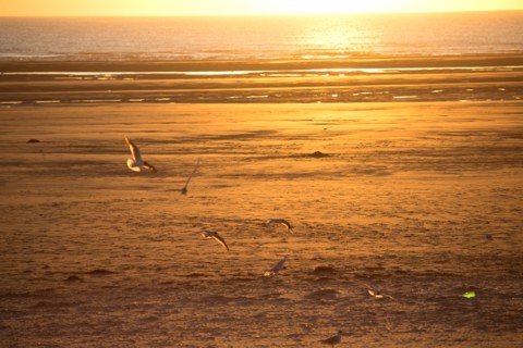 Berck Plage