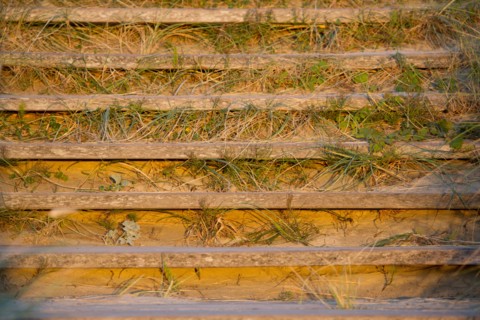 Berck Plage