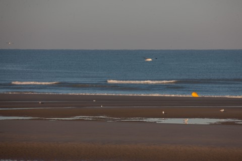 Fort-Mahon-Plage, Baie de Somme