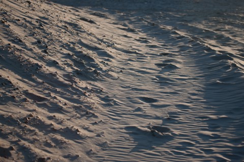 Fort-Mahon-Plage, Baie de Somme