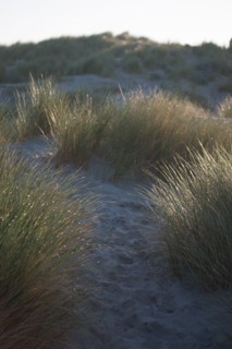 Fort-Mahon-Plage, Baie de Somme