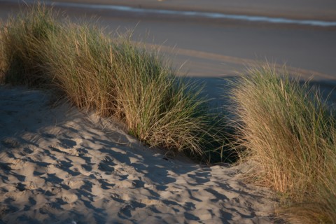 Fort-Mahon-Plage, Baie de Somme