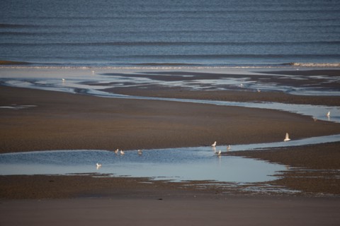 Fort-Mahon-Plage, Baie de Somme
