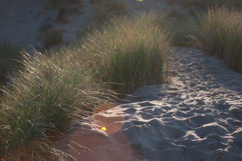 Fort-Mahon-Plage, Baie de Somme