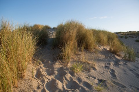Fort-Mahon-Plage, Baie de Somme