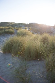 Fort-Mahon-Plage, Baie de Somme