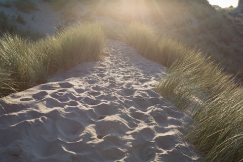 Fort-Mahon-Plage, Baie de Somme