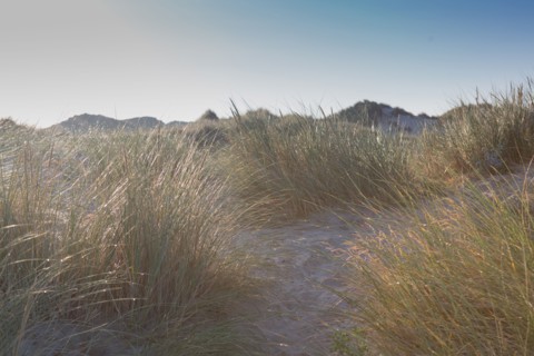 Fort-Mahon-Plage, Baie de Somme