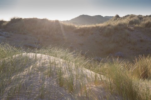 Fort-Mahon-Plage, Baie de Somme