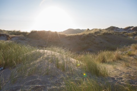 Fort-Mahon-Plage, Baie de Somme