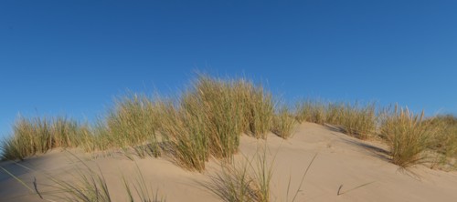 Fort-Mahon-Plage, Baie de Somme