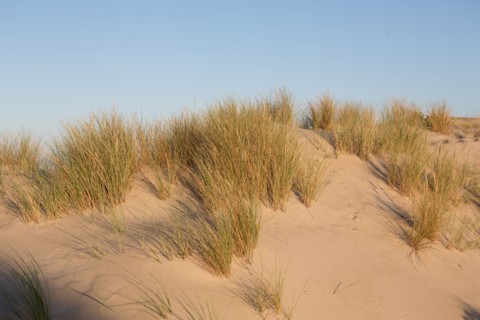 Fort-Mahon-Plage, Baie de Somme