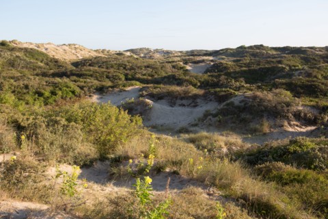 Fort-Mahon-Plage, Baie de Somme