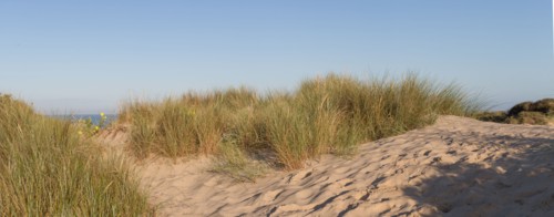 Fort-Mahon-Plage, Baie de Somme