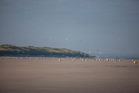 Quend, Somme