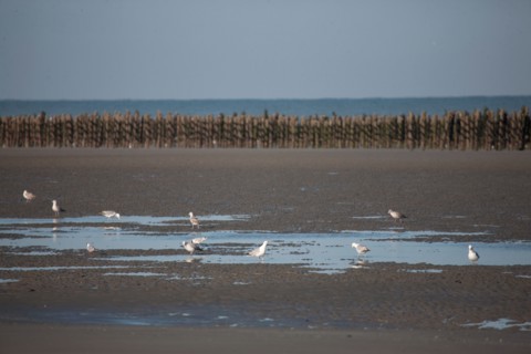 Quend, Somme