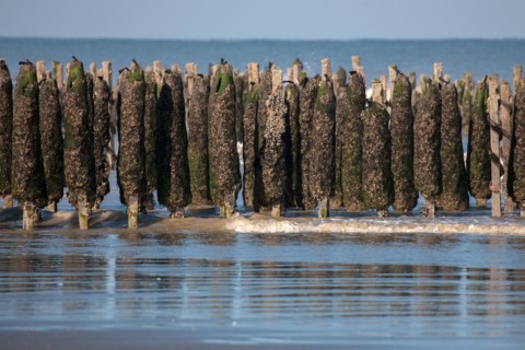 Quend, Somme