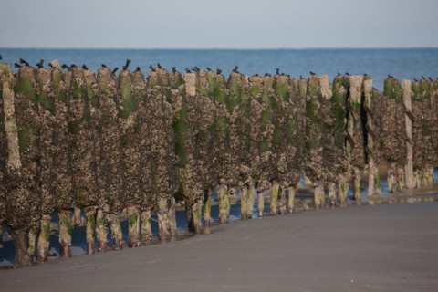 Quend, Somme