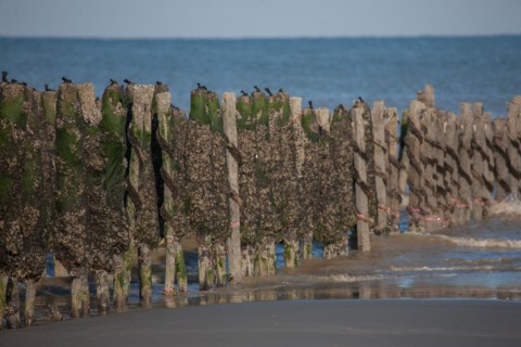 Quend, Somme