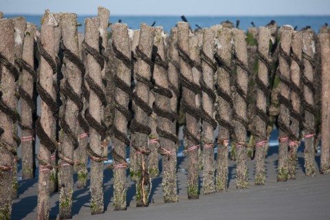 Quend, Somme