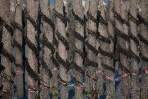 Quend, Somme