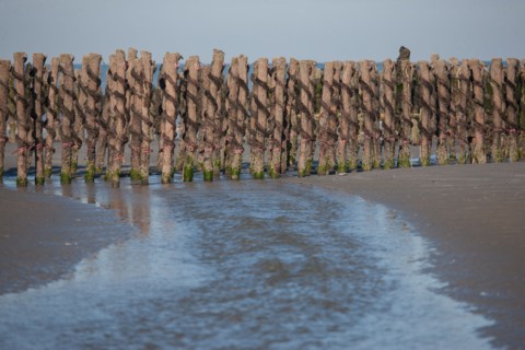 Quend, Somme