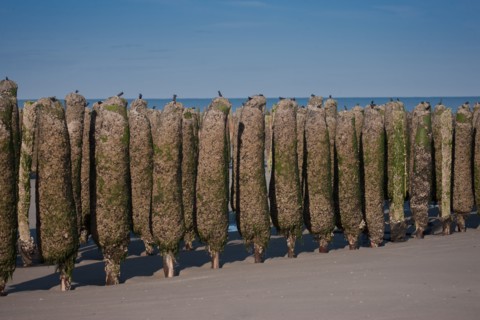 Quend, Somme