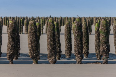 Quend, Somme
