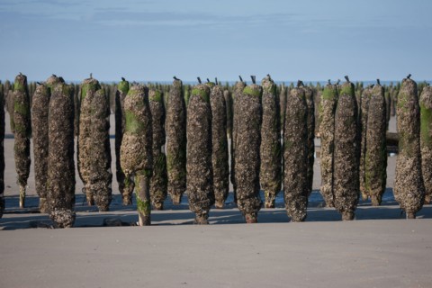 Quend, Somme