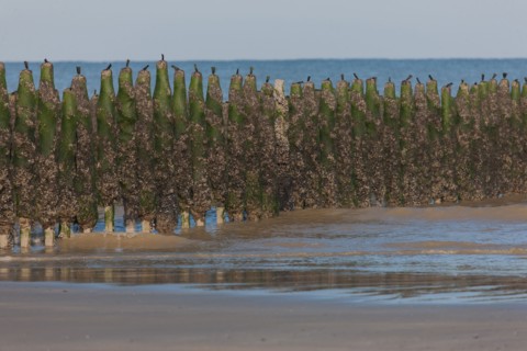 Quend, Somme