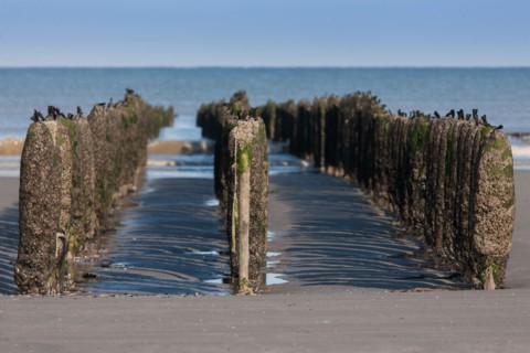 Quend, Somme
