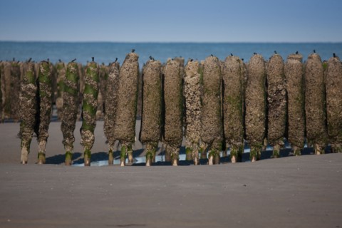 Quend, Somme