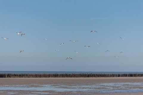 Quend, Somme