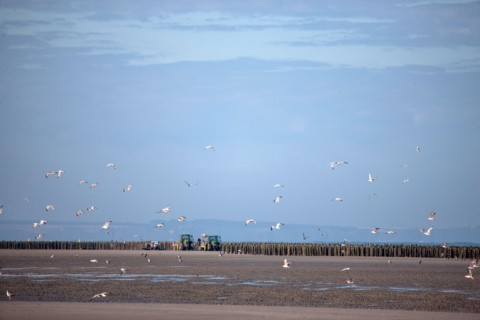 Quend, Somme